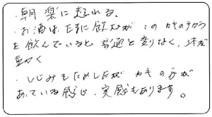 タイトルタイトルタイトルタイトル