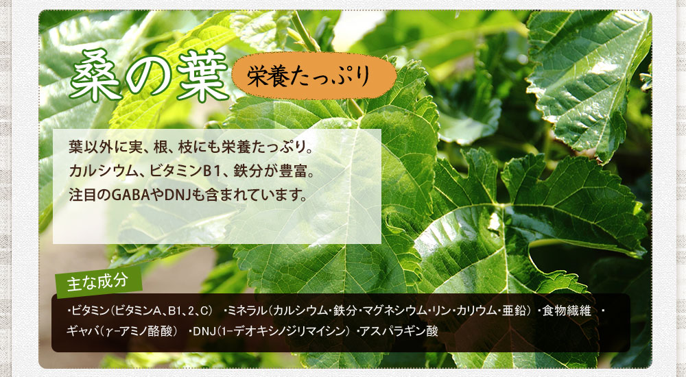 国産の桑の葉もブレンドしています。桑の葉は一般的に、漢方薬の原料としても親しまれています。