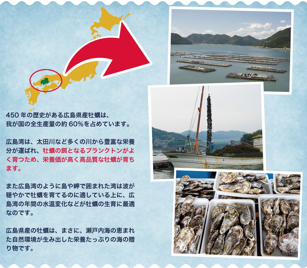 贅沢亜鉛牡蠣のチカラは高品質といわれる広島県瀬戸内海産の牡蠣を使用しています。