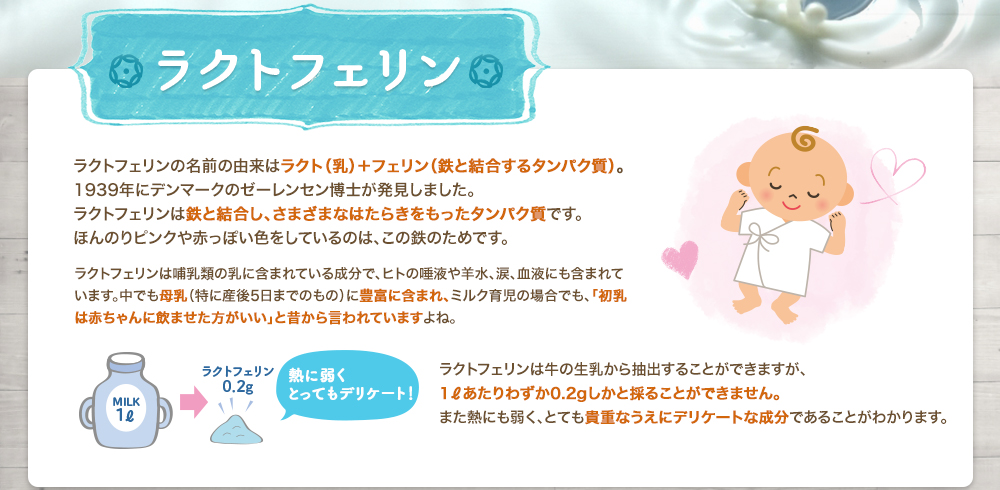 ラクトフェリンの説明