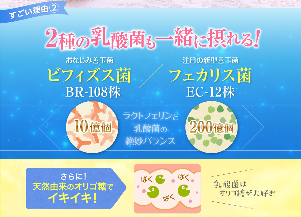 2種の乳酸菌と一緒に摂れる!