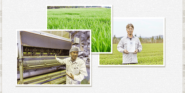 鹿児島県の大麦若葉農家さんのインタビュー写真