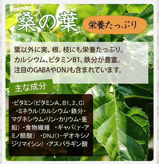 国産の桑の葉もブレンドしています。桑の葉は一般的に、漢方薬の原料としても親しまれています。