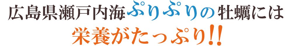 広島県瀬戸内海ぷりぷりの牡蠣には栄養がたっぷり！