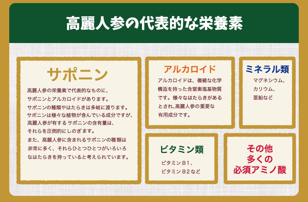 高麗人参には､サポニンやアルカロイド､ビタミン､ミネラル､必須アミノ酸が含まれています｡